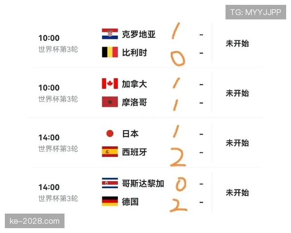 世界杯E组形势预测大全 世界杯E组形势预测大全