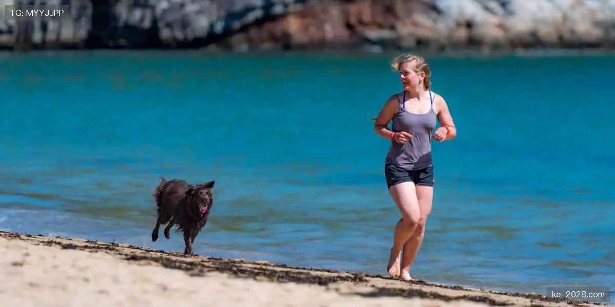 💻互动弹幕，让热爱不再孤单！